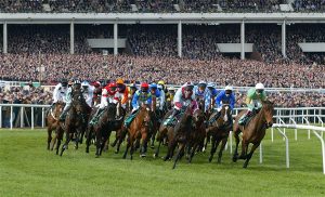 Cheltenham Festival Hospitality Tickets