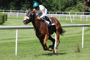 royal ascot hospitality packages