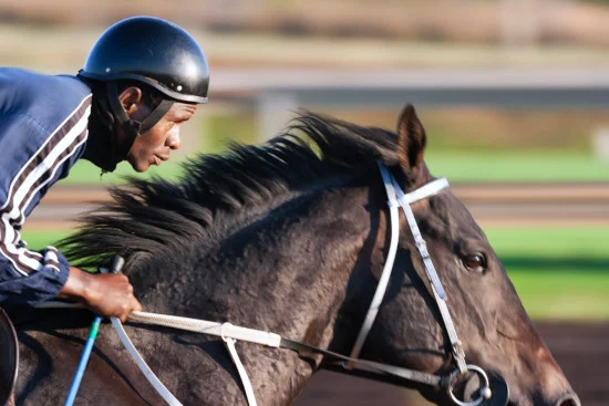 The Grand National Festival